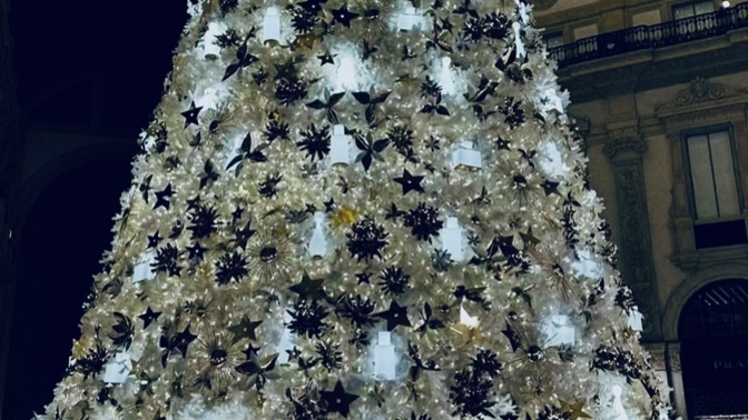 Yıl başı ağacı 🎄süsler misin? Gördüğün en güzel yıl başı ağacını🎄 nerede gördün?