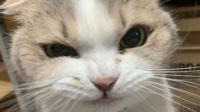 Çok sinirli olmak kötü bir şey mi?