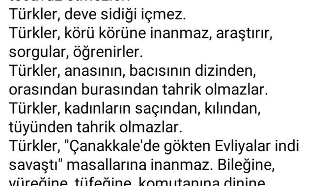 Türk kültüründe ne yoktur?