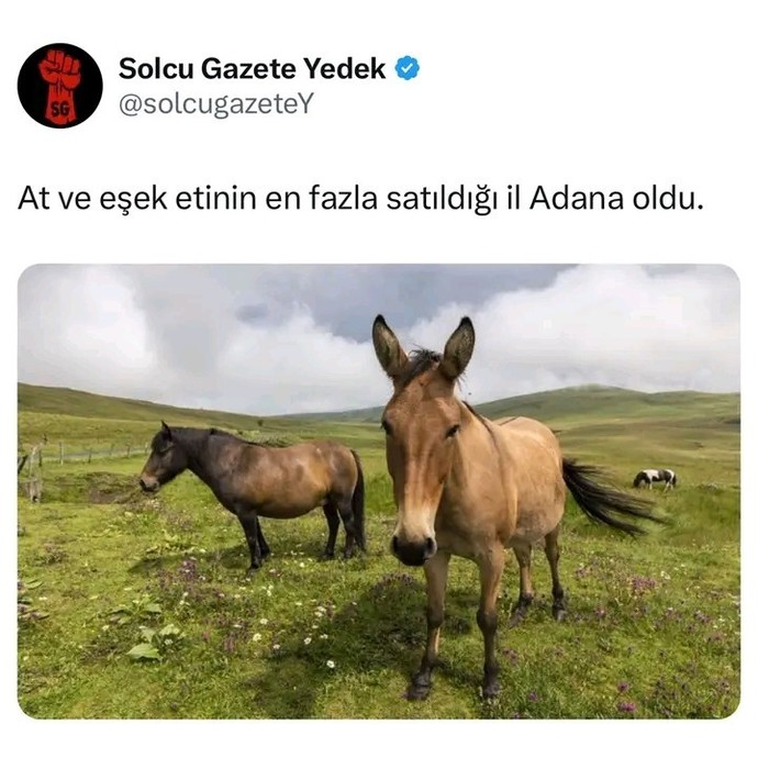 Müslümanim diyenler nasıl. bize at eşek yediriyor?
