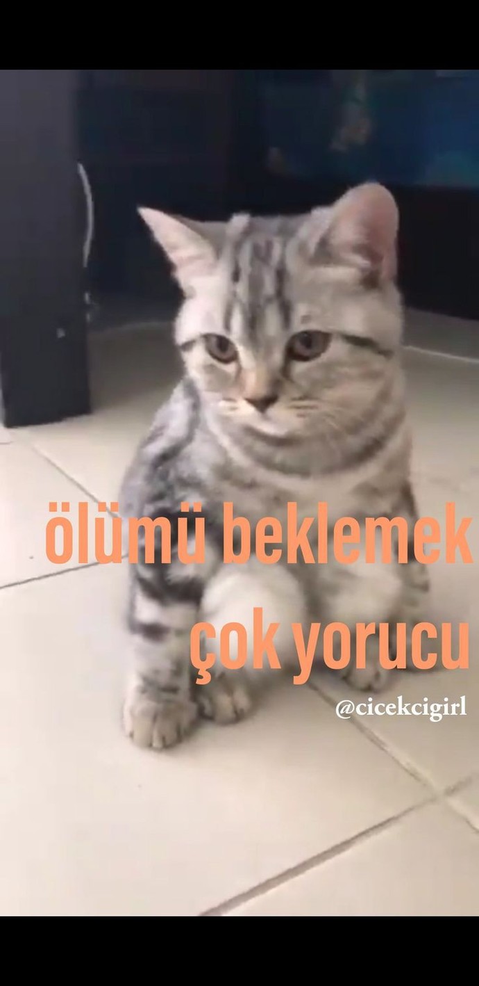 Ne derdiniz var bakalım?