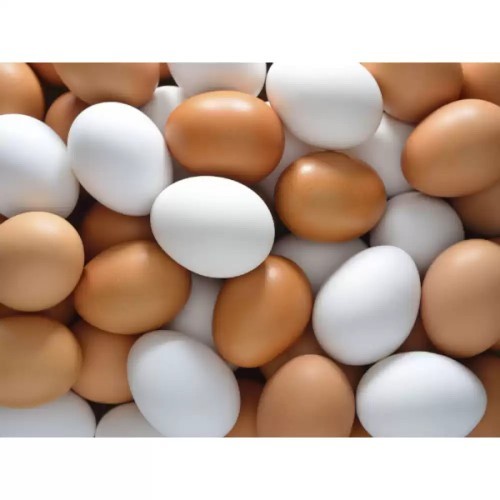 Yumurta kapıya gelince mi işlerinizi halledersiniz?