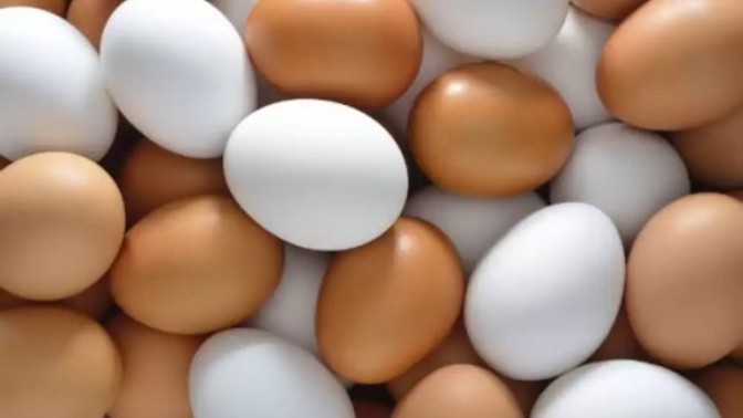 Yumurta kapıya gelince mi işlerinizi halledersiniz?