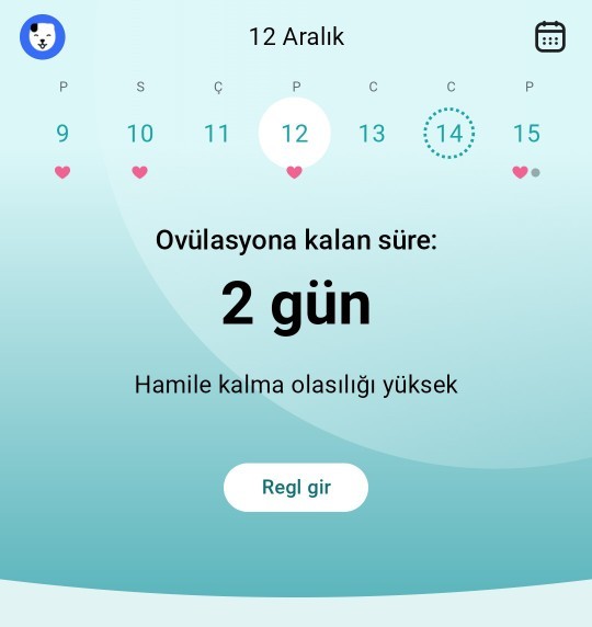 Aşığıdaki gibi ilişki gebelik olur mu?