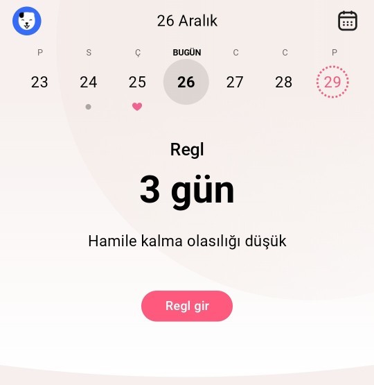 Aşığıdaki gibi ilişki gebelik olur mu?