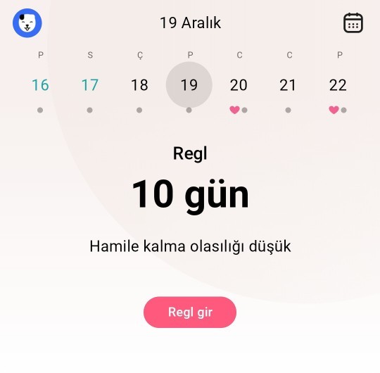 Aşığıdaki gibi ilişki gebelik olur mu?