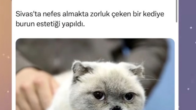 Hiç estetiğiniz/ dolgunuz var mı?