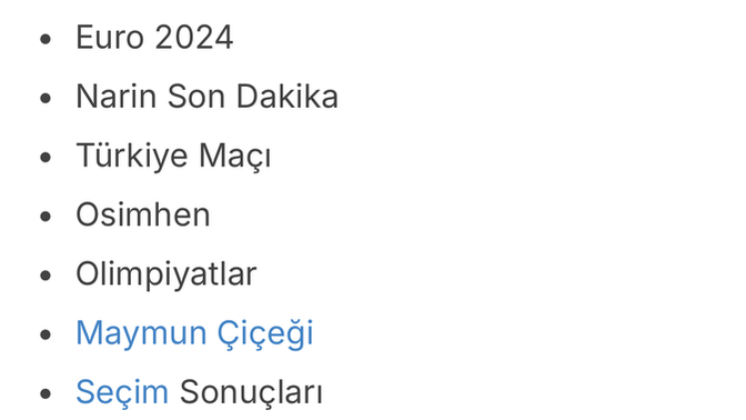 2024'de Google'da en çok aranan kelimeler açıklandı. Siz en çok hangi kelimeyi kullanmışsınızdır?