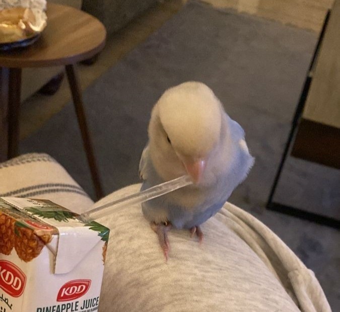 Çekici misiniz yoksa itici misiniz söyleyeyim mi?