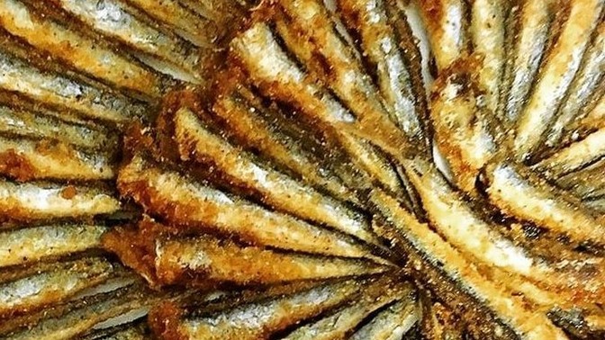 Hamsi yemeyi ne kadar çok seversiniz?