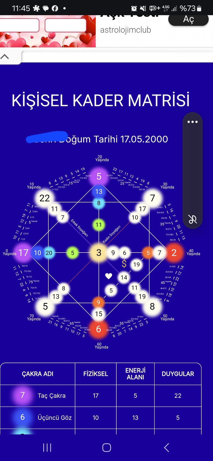 Kader matrisi yorumlayabilen var mı?
