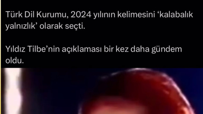 Türk Dil Kurumu, 2024 yılının kelimesini “kalabalık yalnızlık” olarak seçti. Peki sizin en sık kullandığınız kelimeler hangileriyd?