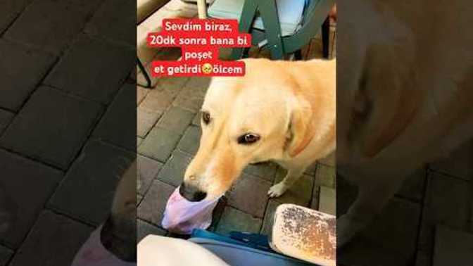 Bazen biraz sevgi hissetmek için herşeyi vere bilir misin?