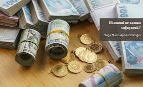 2024 yılında paranızı hangi yatırım araçlarında değerlendirdiniz?