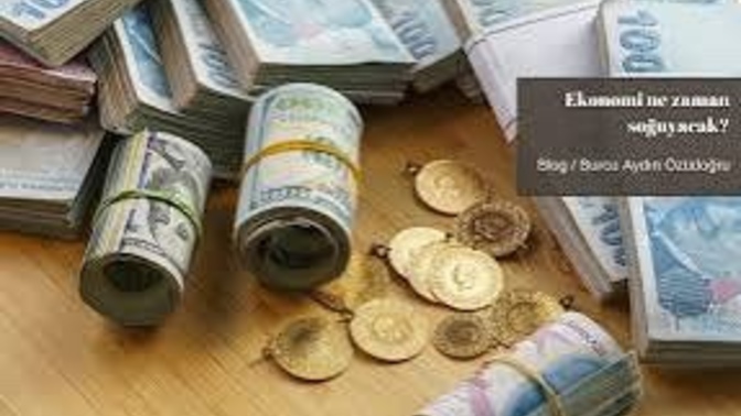 2024 yılında paranızı hangi yatırım araçlarında değerlendirdiniz?