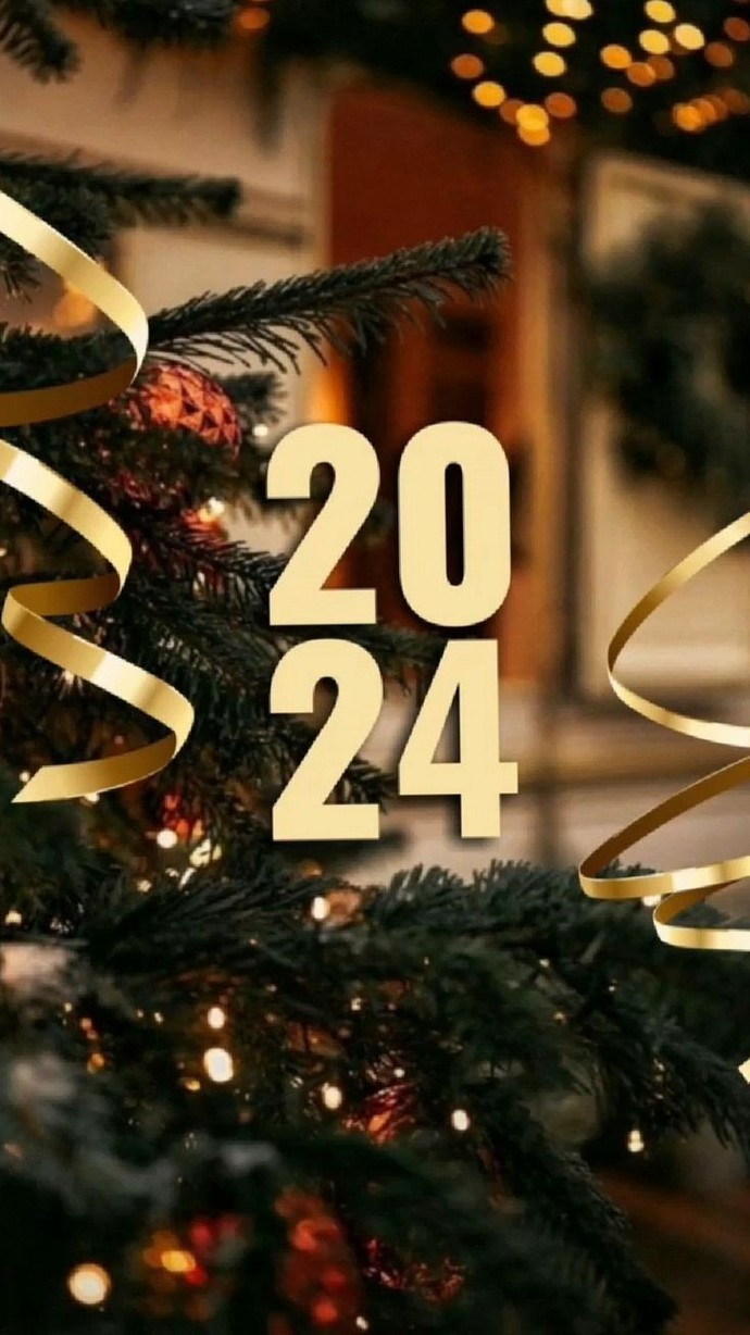 2024ten çıkarken ne hissediyorsun?