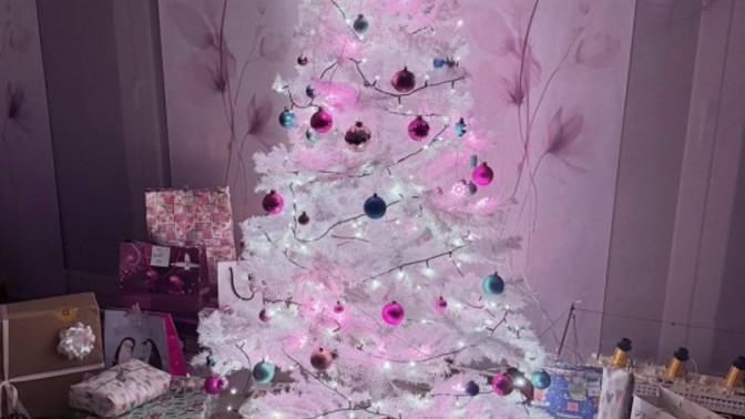 Pinterest çam ağacı mı daha güzel Facebook çam ağacı mı?