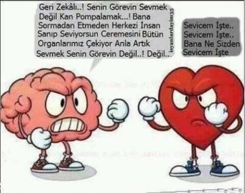 Birini sevmeyi tutunduğun kişi var mı?
