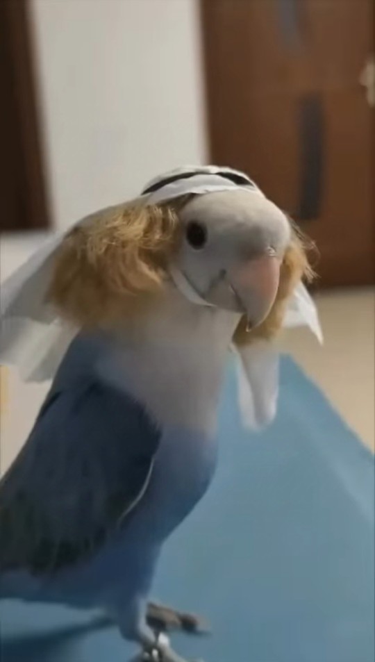 Kankamla Dubai ye gidiyoruz. Nasılız?