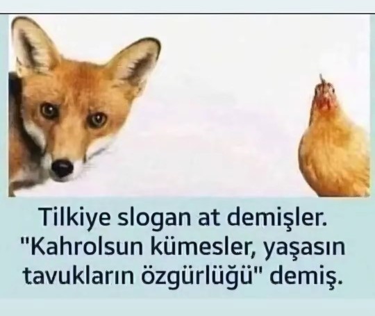Sözden ne anladınız?