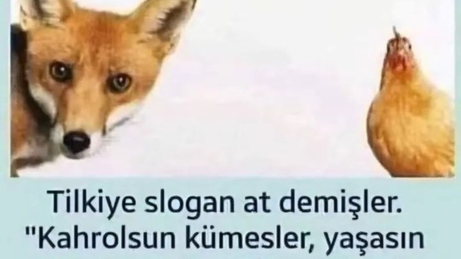 Sözden ne anladınız?