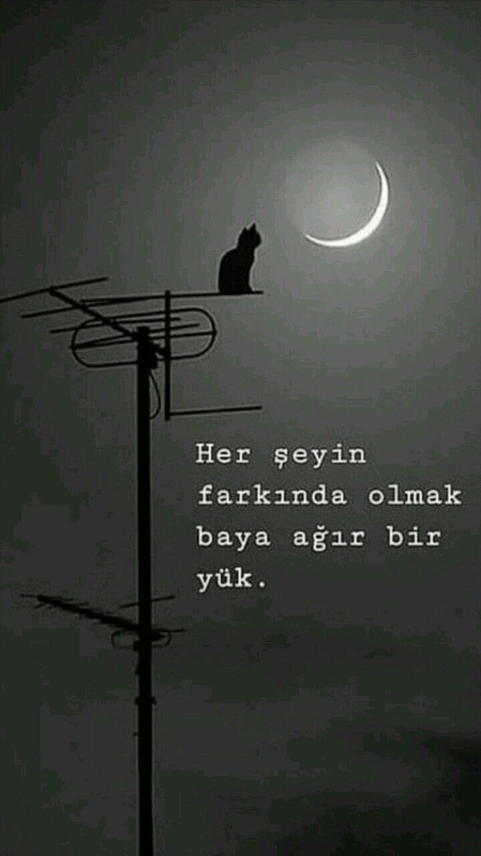 Eğer yıl sonu için birlikte bir şarkı söyleseydik bu ne olurdu?