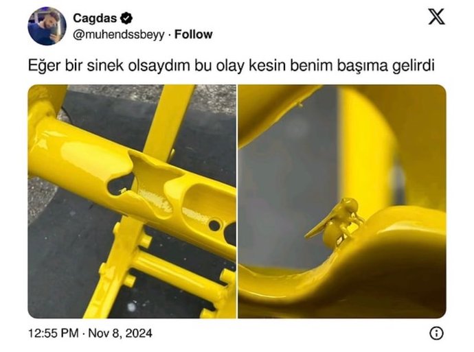 Şanslı mısındır?