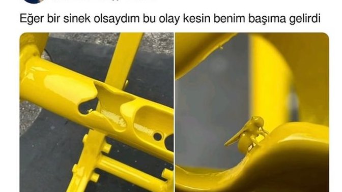Şanslı mısındır?