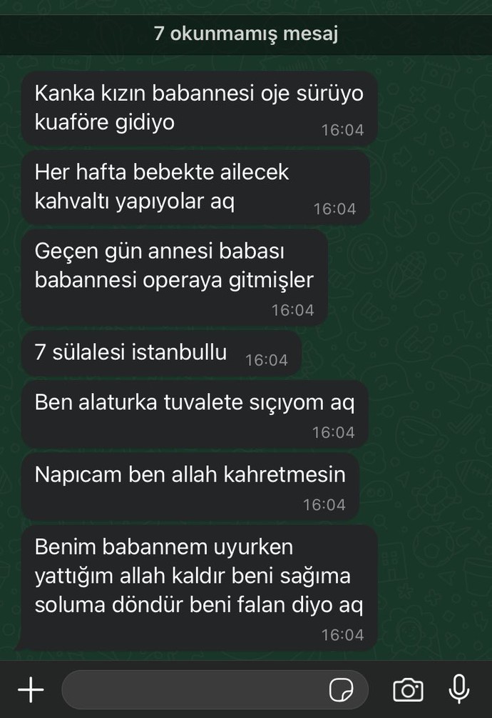 Arkadaşım böyle bir mesaj attı ne yazayım?
