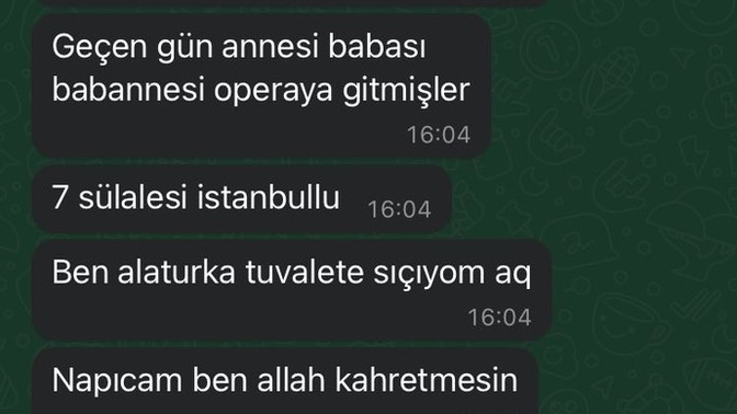 Arkadaşım böyle bir mesaj attı ne yazayım?