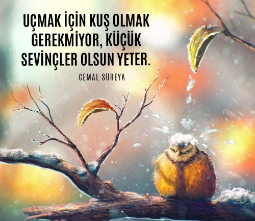 Küçük şeylerle mutlu olmayı başarabiliyor musunuz?
