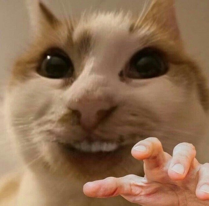 Benim dövmek istediğim çok insan var ama sakinim neyse neyseee 🙄🙄