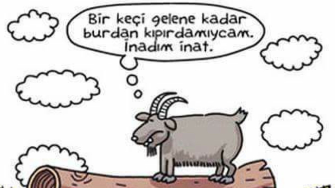 Kızlar mı daha inat, Erkekler mi?