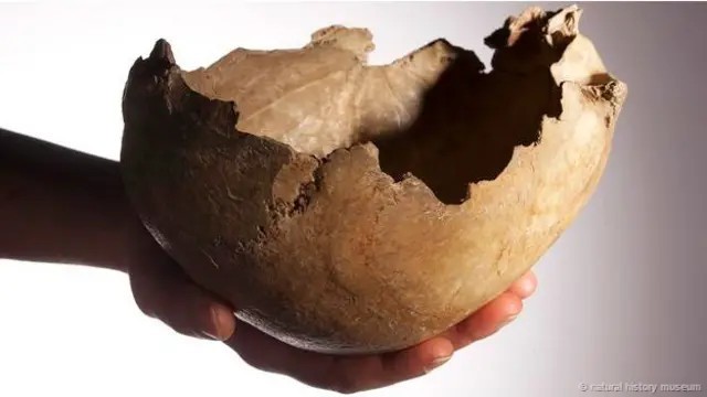 Yiyecek bir şey bulamazsaydınız yamyam olur muydunuz?