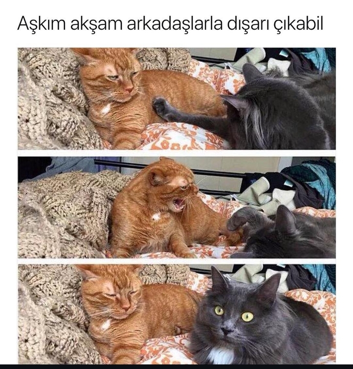Sevgiliniz sizden habersiz gezmeye gidebilir mi?