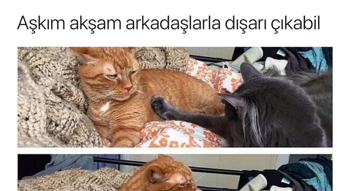 Sevgiliniz sizden habersiz gezmeye gidebilir mi?