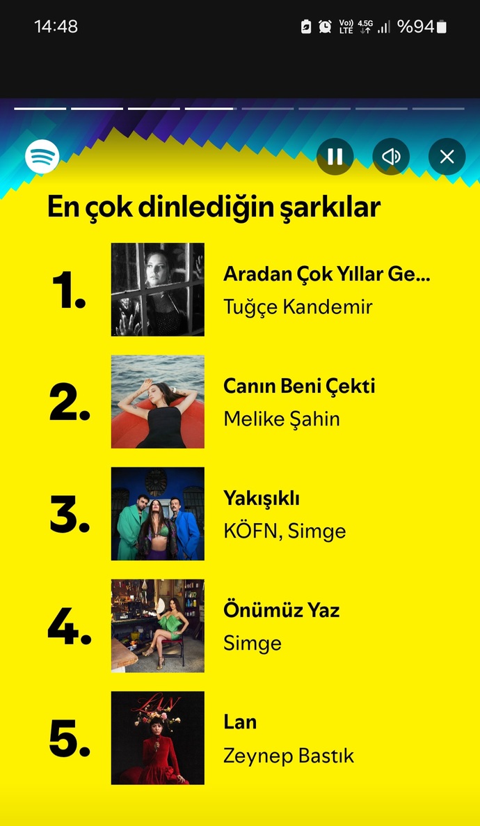 2024 Spotify özetin nedir?