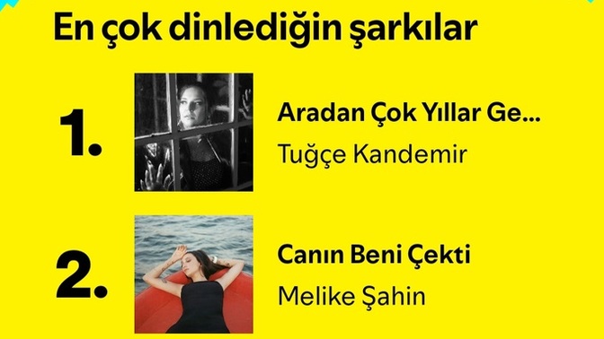 2024 Spotify özetin nedir?