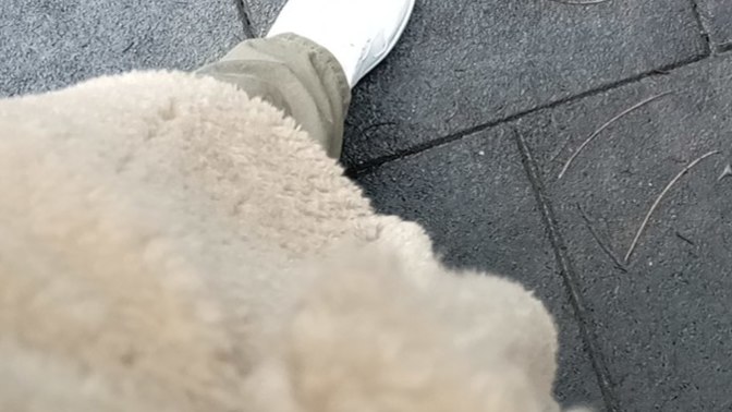 Kürkle yürüyüşe çıkılmaz mı?