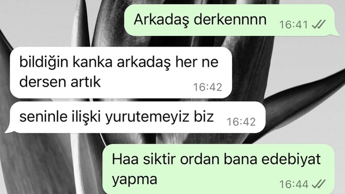 Cevaplarım nasıl sizce ne düşünmüştür?