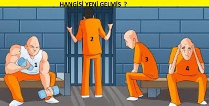 Sizce bunlardan hangisi yeni gelmiş?