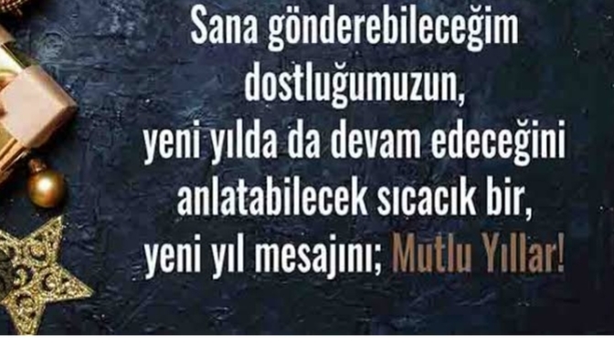Siteden kime/kimlere yeni yıl kutlama mesajı atmayı düşünüyorsunuz?