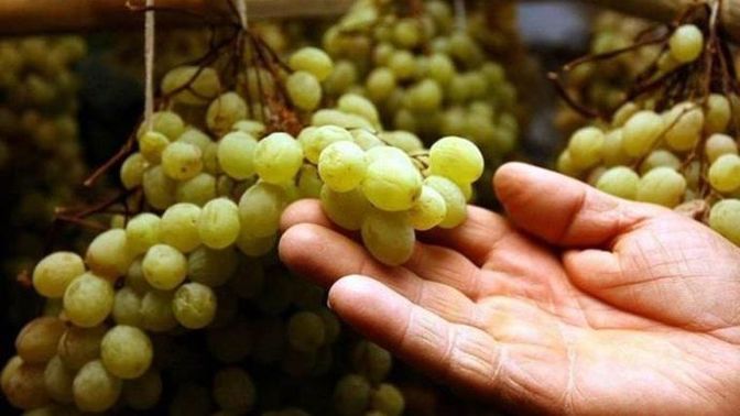 Yılbaşında 12 tane üzümü saat kaçta yememiz gerekiyor?