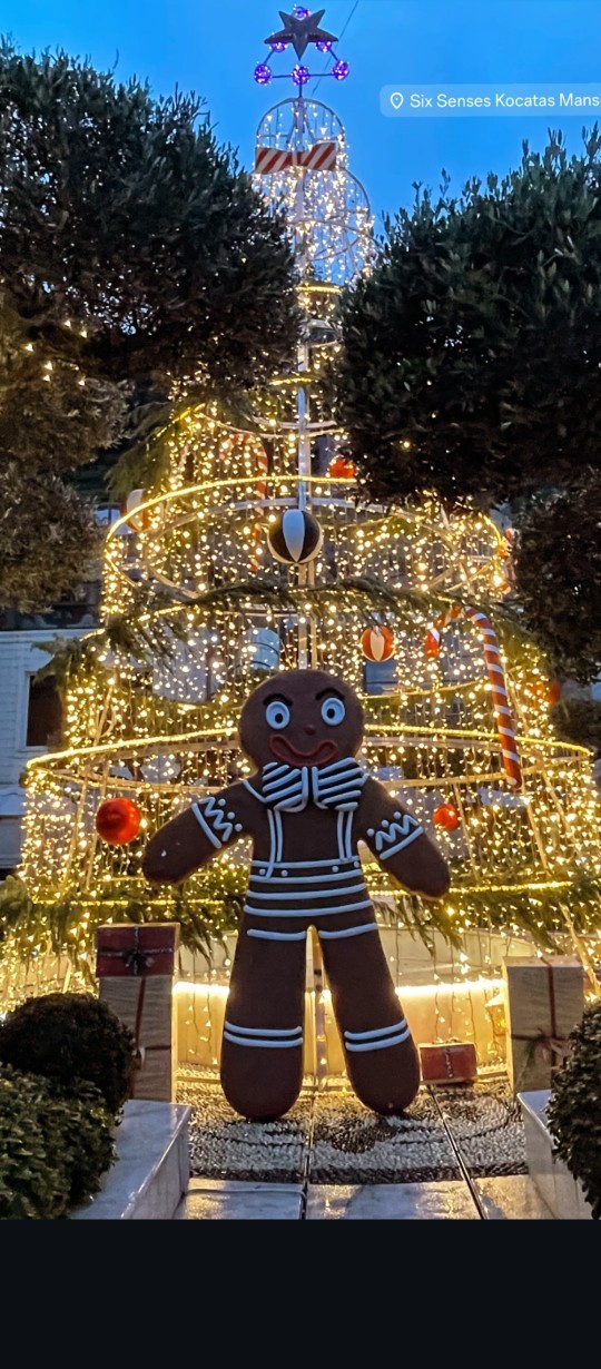 Devasa Noel ağaçları mı daha güzel yoksa minyatür Noel ağaçları mı?