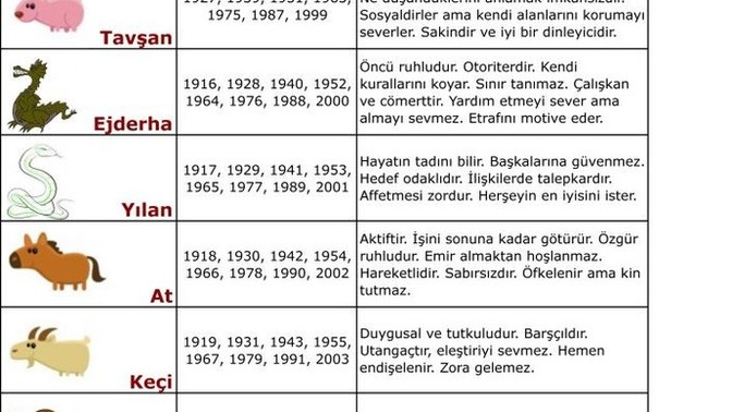 Çin burcunuz nedir? Özelliklerini taşıyor musun?