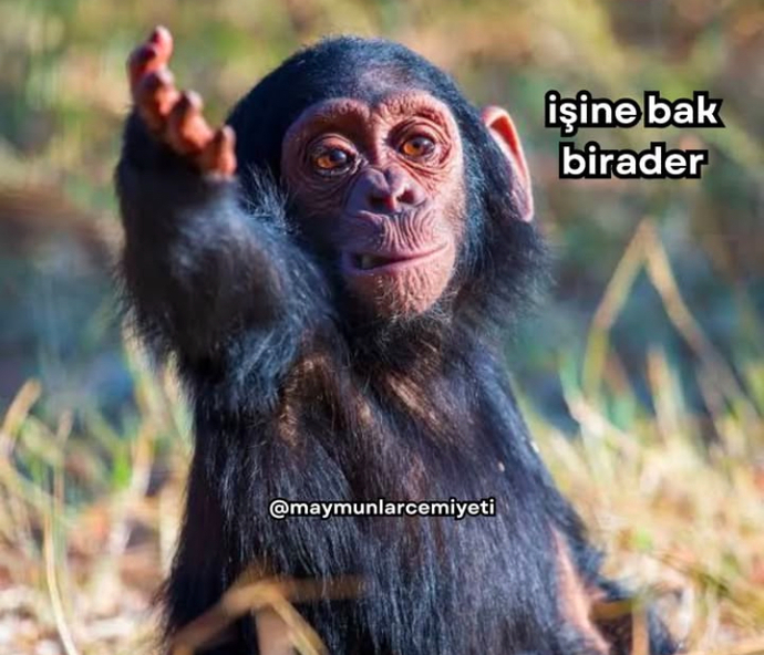 Herkes sevgilisi ile yılbaşı kutlarken bende cin ali ile konuşuyorum 😂benim gibi yanlız olan var mı?