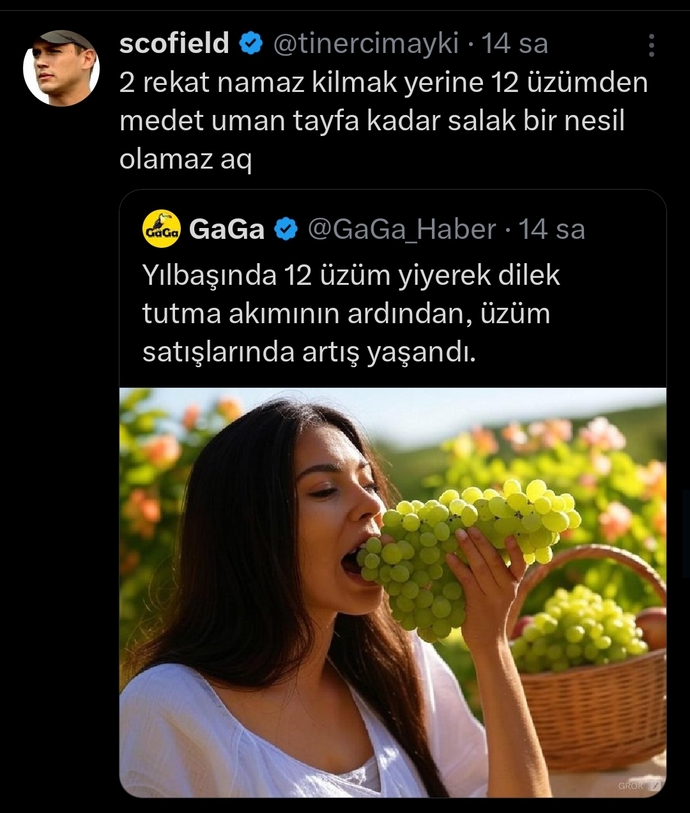 Kuru üzüm yersek olmazmı ya?