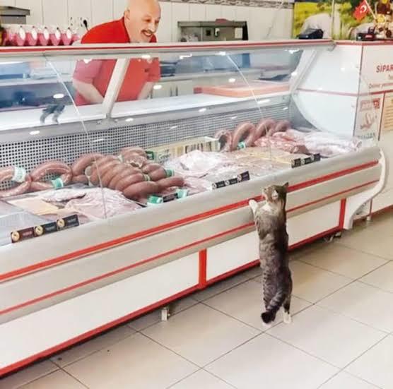 Gaziantep'in meşhur kuru dolması (kış) dolmasını yediniz mi?