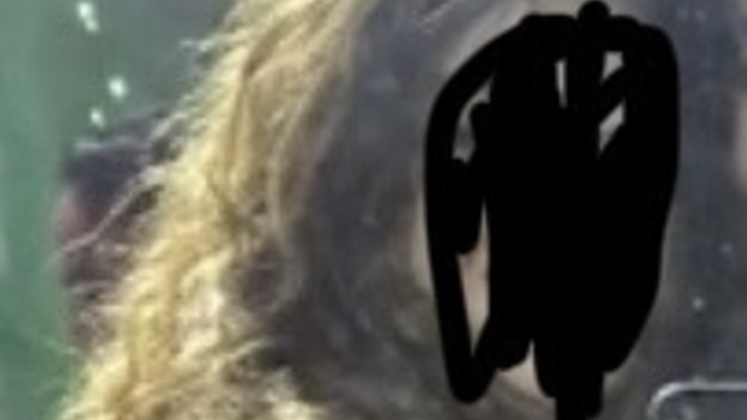 Saçım dalga mi kıvırcık mi?