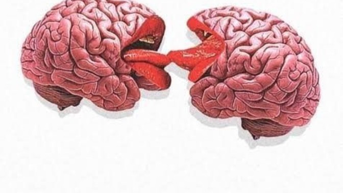 Zekasıyla sevişemediğin birini arzular mısın?